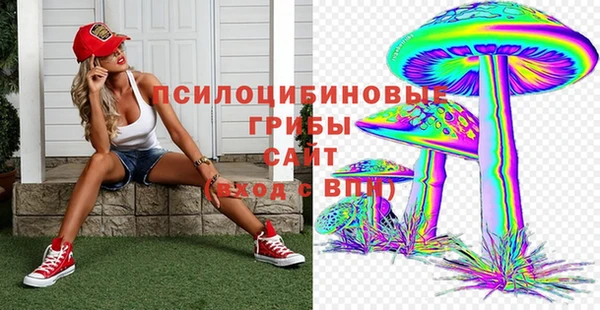 гидропоника Аркадак
