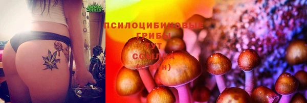 соль курить ск Армянск