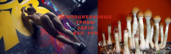 гидропоника Аркадак
