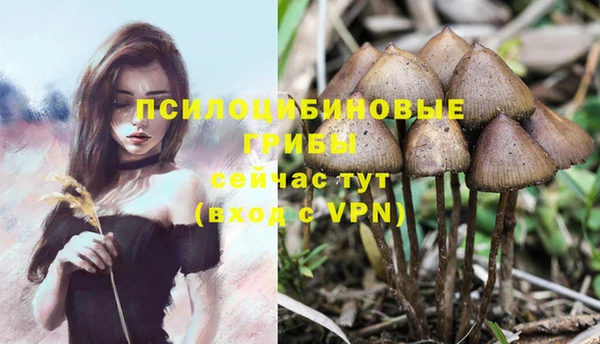 прущая мука Арсеньев