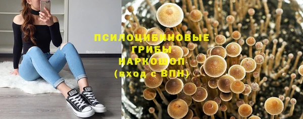 соль курить ск Армянск