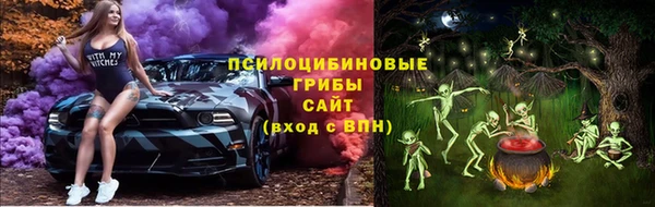 прущая мука Арсеньев